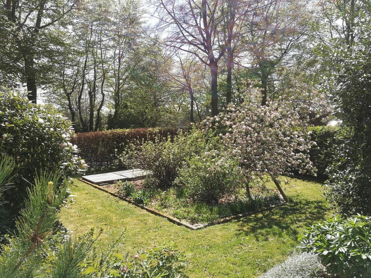 Roder Am Eifelsteig Villa Monschau Exterior foto